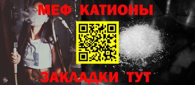 индика Кингисепп