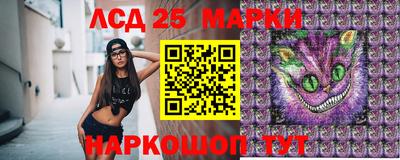 индика Кингисепп