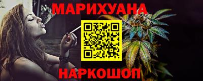 индика Кингисепп
