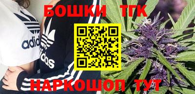 индика Кингисепп