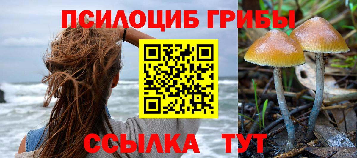 Галлюциногенные грибы мицелий Всеволожск
